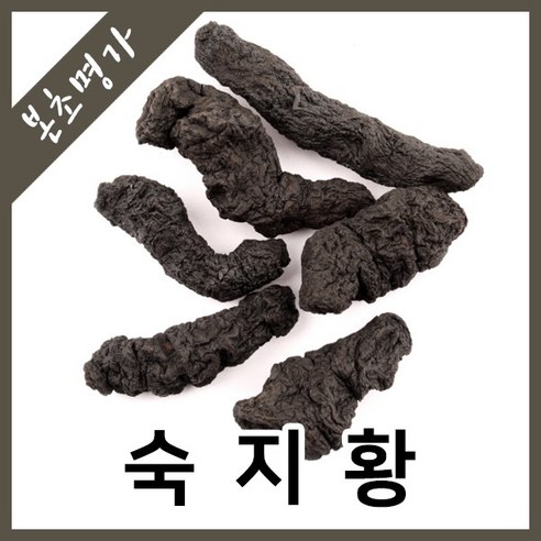 본초명가 숙지황 9증9포