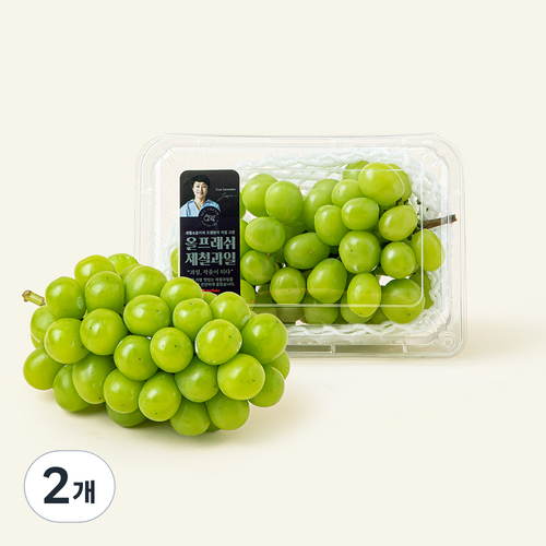 [로켓프레시] 고당도 샤인머스캣, 650g, 2개