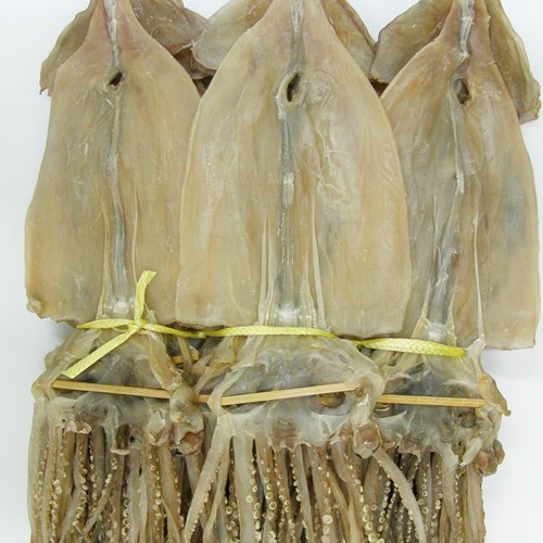 건어물천국 마른오징어 특대 건조오징어, 1.7kg, 1개