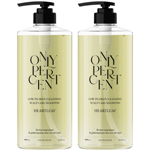 온리퍼센트 어성초 40 약산성 딥클렌징 두피 케어 샴푸, 2개, 1L