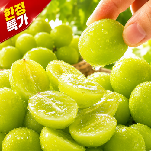 씨없는 고당도 샤인머스켓, 1개, 2KG(2~4)
