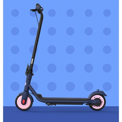 Ninebot 9호 여성 미니 접이식 전동킥보드 C15