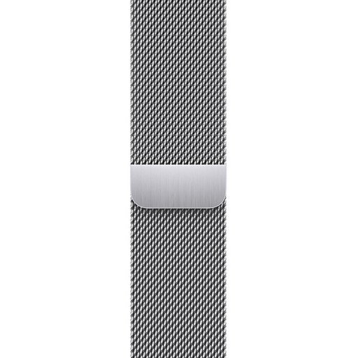 Apple 정품 애플워치 밀레니즈 루프, 41mm, Regular, 실버