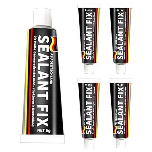 월드크린 실란트 픽스 6g