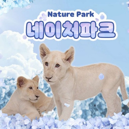 (골드박스) 종일권 1인권