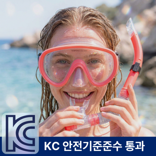 플리터스 스노쿨링 마스크 세트