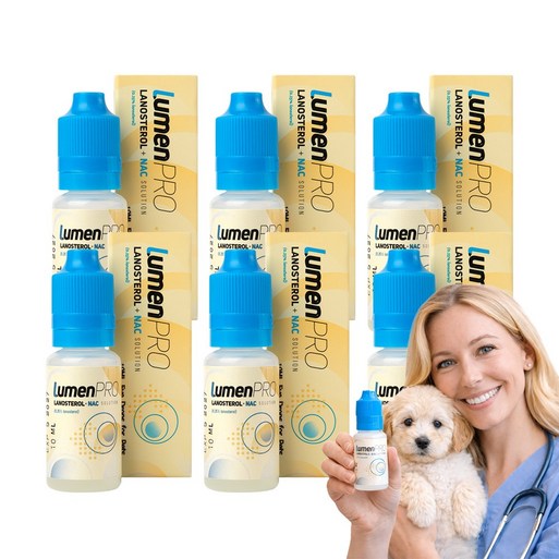 강아지 눈 영양제 백내장 관리 FDA 안전성 입증 성분 미국 직배송 루멘프로, 6개, 10ml