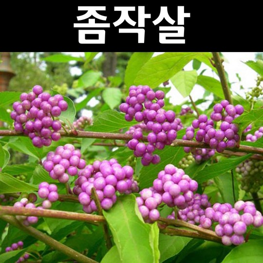 cc13101db73129be8c66c217dc2fc46c0b5bd02a20c674d3180fabf27a12.jpg