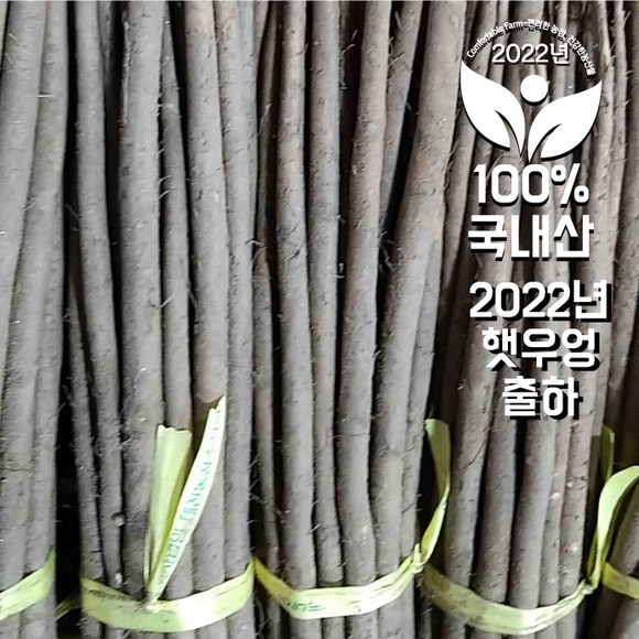 건강과 맛을 동시에! 우엉잎의 놀라운 효능과 활용법 완벽 가이드