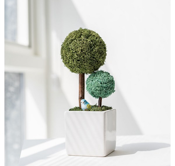 사무실책상화분 추천: 집중력 향상과 쾌적한 업무 환경 조성 가이드