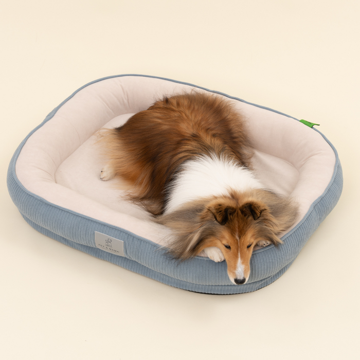 홀릭하임 슬개골 보호 강아지 폼 방석 노령견 극세사 쿠션 분리세탁