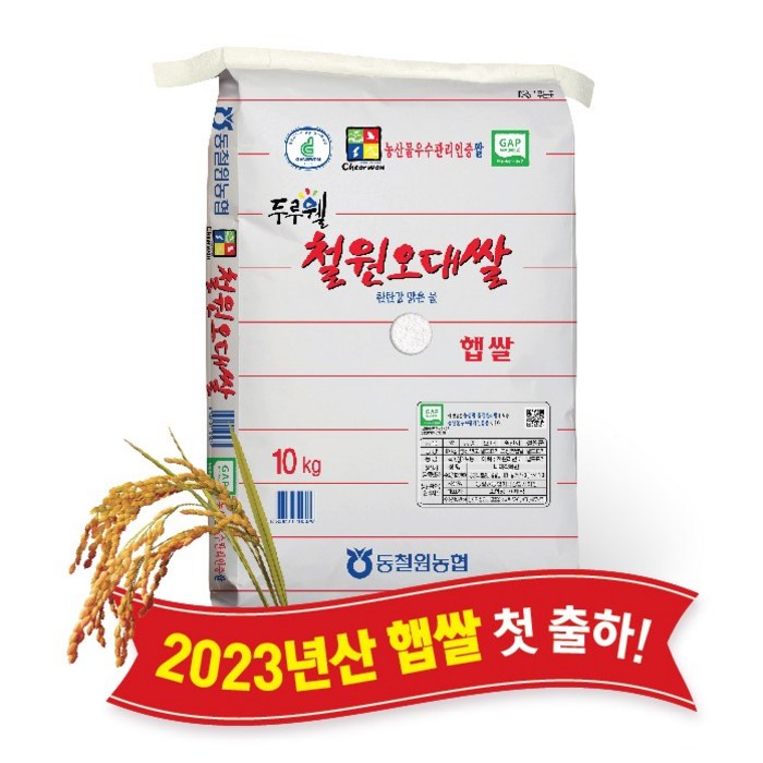 당일도정 동철원농협 직접운영 2023년산 두루웰 철원오대쌀