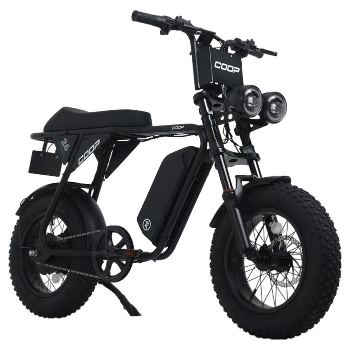 에이유테크 엑스트랙 몬스터 쿱 48V 20Ah 자토바이 고객직접설치