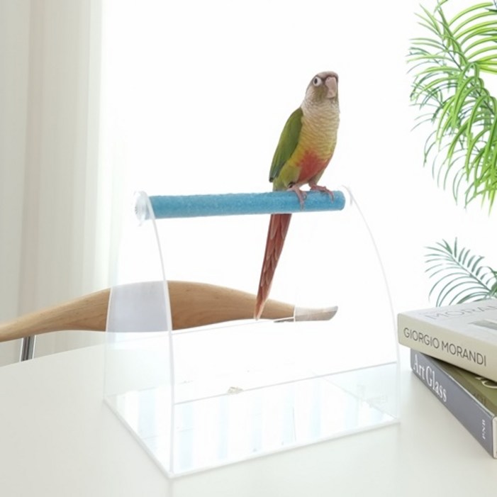 앵파크 퓨어에이스 192 모래횃대 앵무새 횃대 탁상용 테이블 횟대 배변훈련