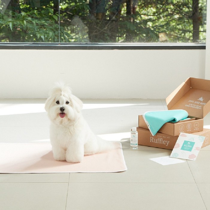 루플리 에코패드 중형 M 강아지 빨아쓰는패드 배변패드, 1세트, 3개입