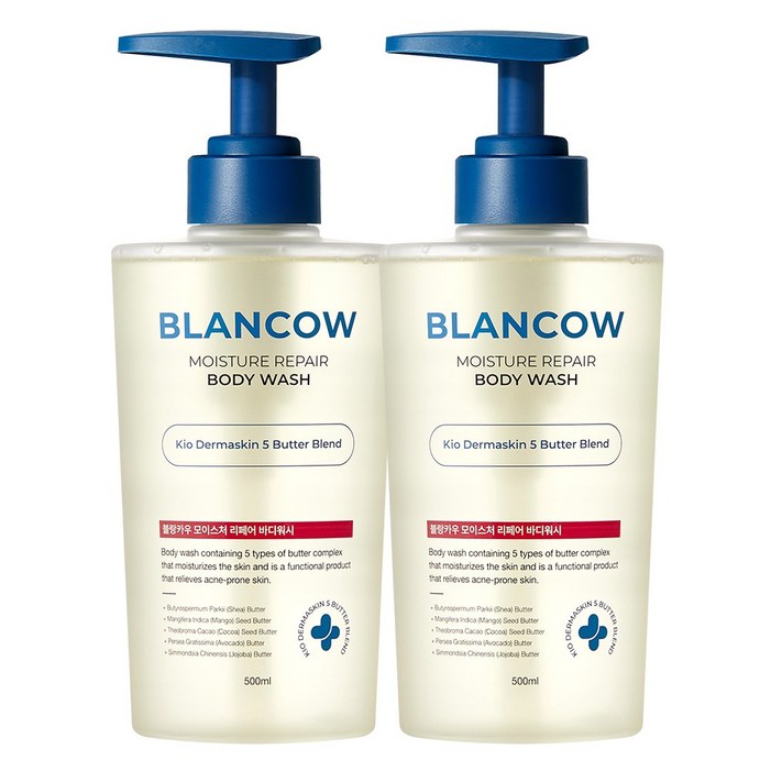 국내 유일 1회사용 피지 47개선 BHA 여드름기능성 바디워시 모공각화증 각질개선 문제성피부 즉각보습, 2개, 500ml