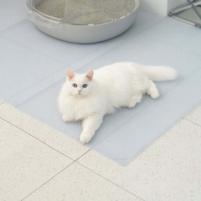 냥쌤 투명 캐치매트 고양이 모래 매트 사막화 방지 발판 패드, 6개, 투명
