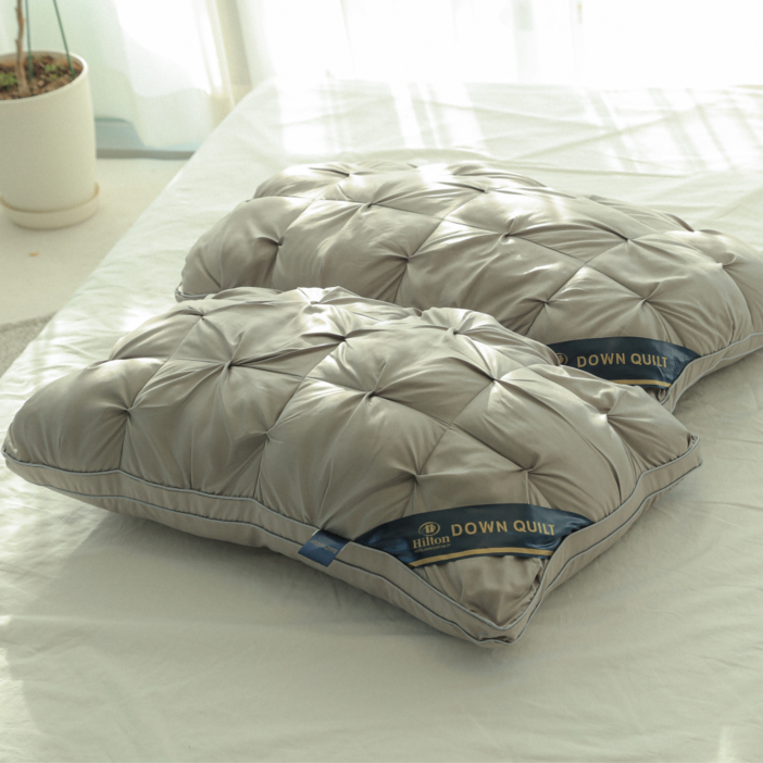 송림라이프 빨아쓰는 푹신한 숙면 베개  베개솜, 그레이, 2개