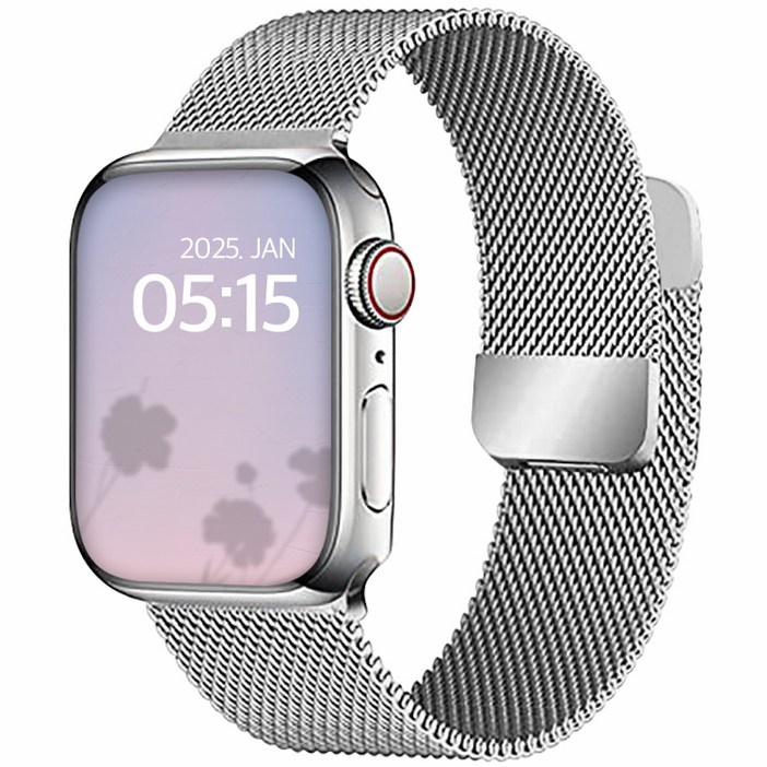 디지지 애플워치 호환 밀레니즈 루프 마그네틱 스트랩, 실버