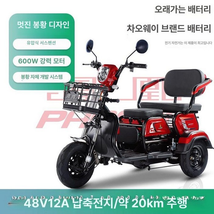 삼륜 어르신 전동차 2인승 48V 스쿠터 전동스쿠터