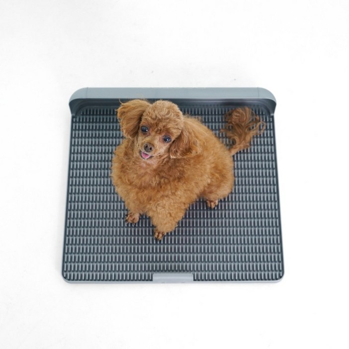 독톡 강아지 표준형 배변판