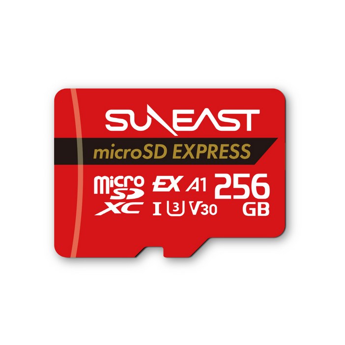선이스트 닌텐도 스위치2 마이크로SD 익스프레스 PCIe NVMe, 1개, 256GB