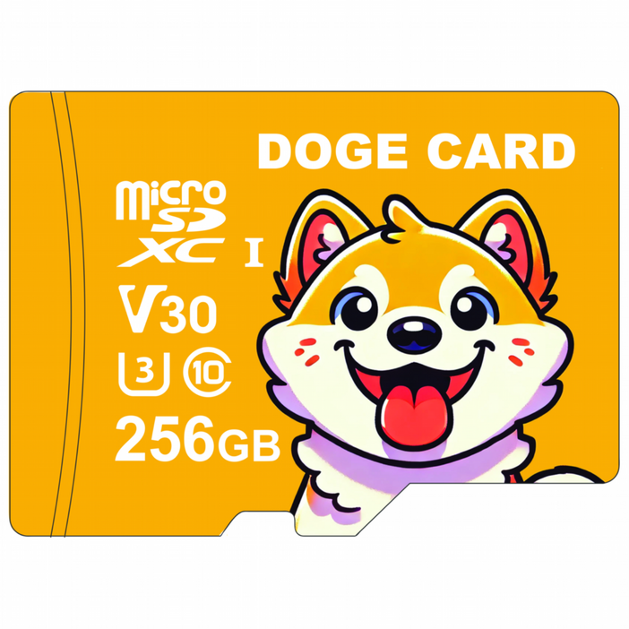 도지카드 마이크로 SD카드 UHSI 블랙박스 전용 메모리카드, 1개, 256GB