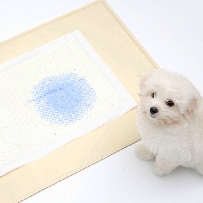 워글리 강아지 논슬립 배변매트