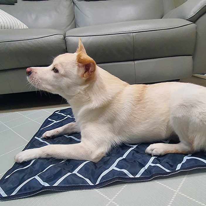똘멍 강아지 애견 대형견 쿨매트