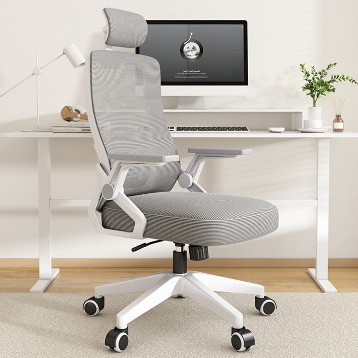 헤르티만 허리 편한 사무용 의자 컴퓨터 학생 메쉬 의자