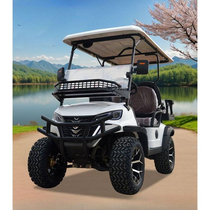 골프전동차 골프장필드 다인승 4인승 장거리 외출 캐디차량 골프 전동카트 전자 골프전용전동차