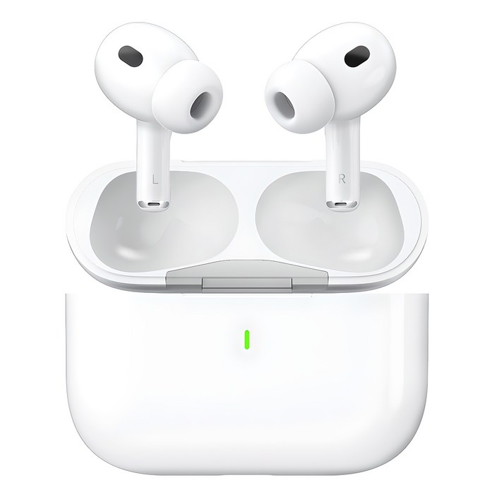 블라우풍트 ANC 노이즈 캔슬링 블루투스 5.4  커널형 이어폰