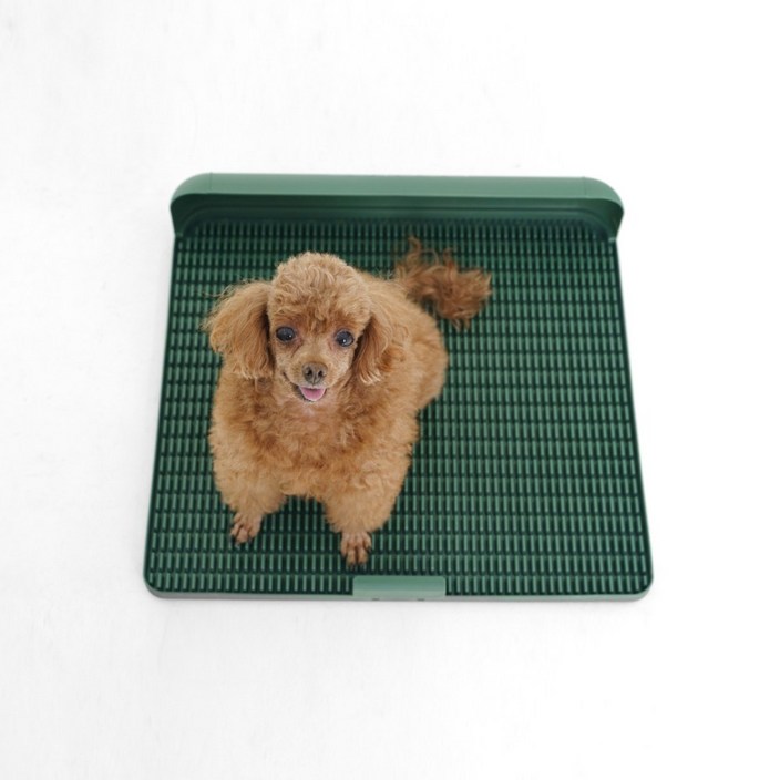 독톡 강아지 표준형 배변판