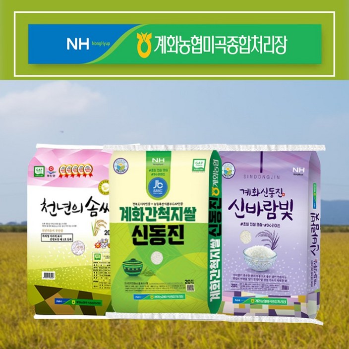전라북도 도지사가 인증한 대표상품 2023년 햅쌀 계화농협 간척지쌀 20kg 10kg, 10kg, 1개