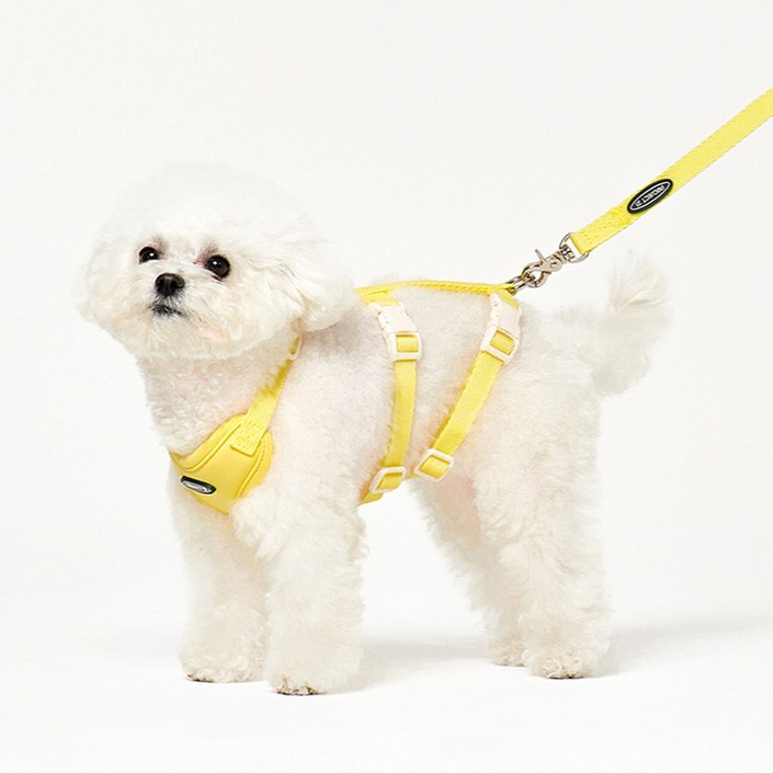프로젝트21 강아지 리프팅 관절 보호 하네스  리쉬 세트, 레몬, 1세트