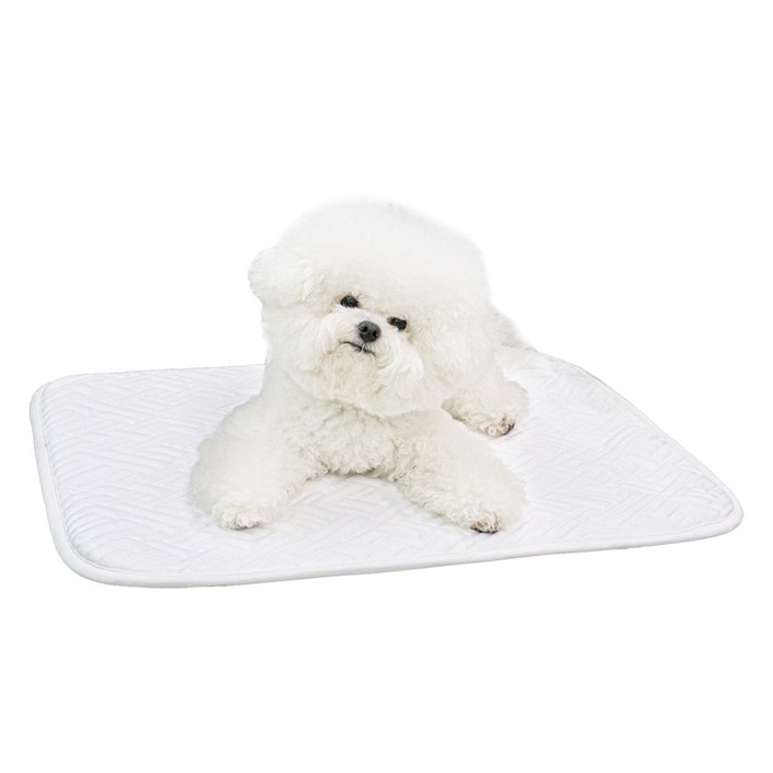 초코펫하우스 강아지 듀라론 아이스 쿨매트