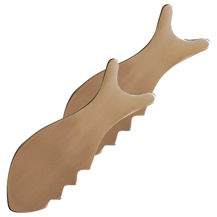 놋담 물고기 마사지기