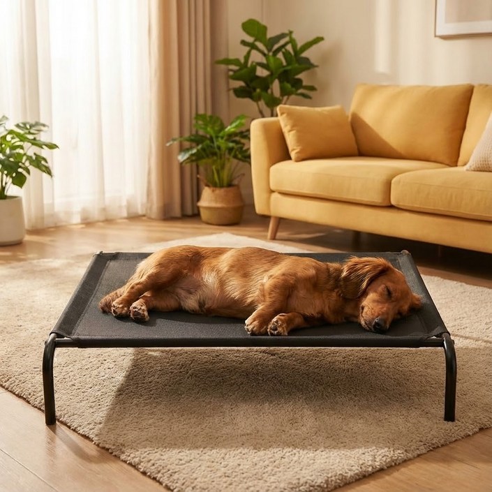 BESCA 터프 해먹 강아지 침대 BHB01, 1개, 딥블랙