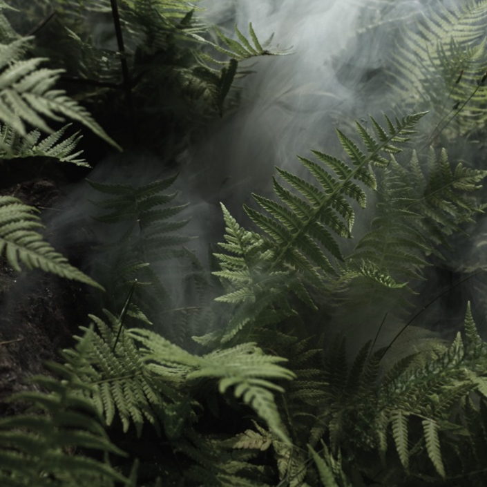 캔들나라 KP 이솝 휠 타입