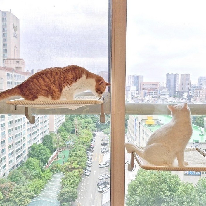 오르펫 고양이해먹 창문해먹 창틀 침대 캣타워 캣워크, 2개, 캣해먹 베이지