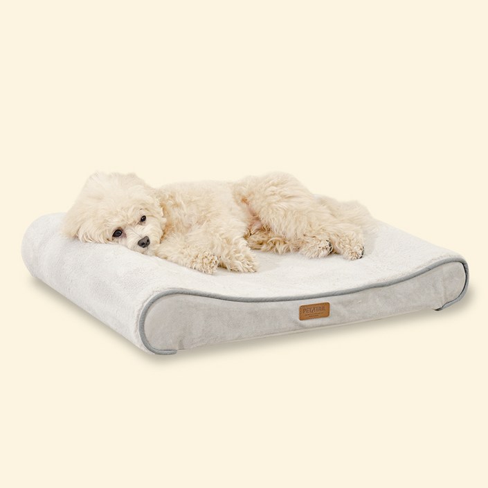 펫테일 강아지 방석 척추 고양이 침대 리저브