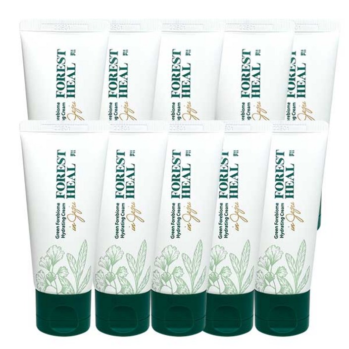 비건 보습 속건조 세라마이드 수분 영양 크림, 50ml, 10개 비건 보습 속건조 세라마이드 수분 영양 크림, 50ml, 10개