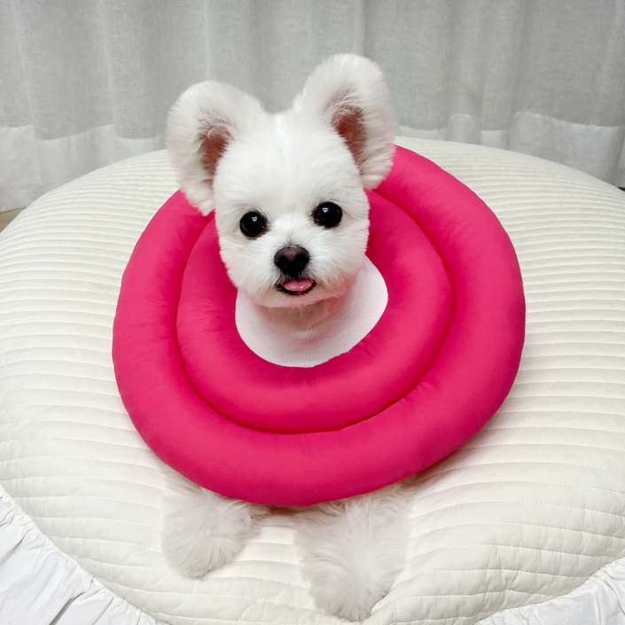 리치독스 강아지넥카라 애견 넥카라 고양이 깔대기 원형방수, 핑크, 1개