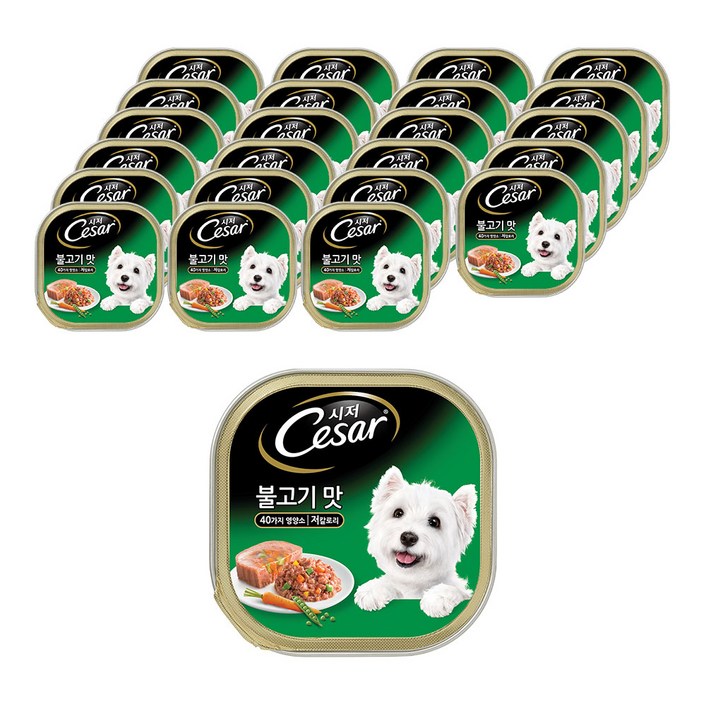 시저 1세이상 강아지 주식캔