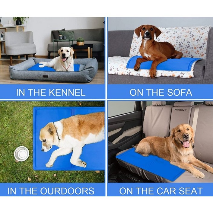 70 11 땡처리 강아지 고양이 더위싹 얼음짱 방수 쿨매트 M x 2개 40x50cm 블루