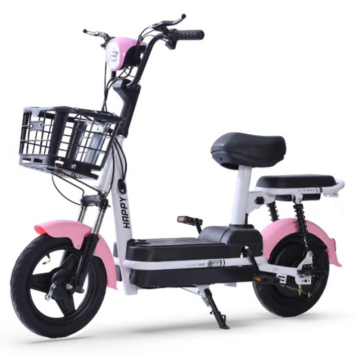 코알라이프 전기스쿠터 오토바이 바이크 리튬배터리 분리가능한 2인승 여성용 미니 전기자전거