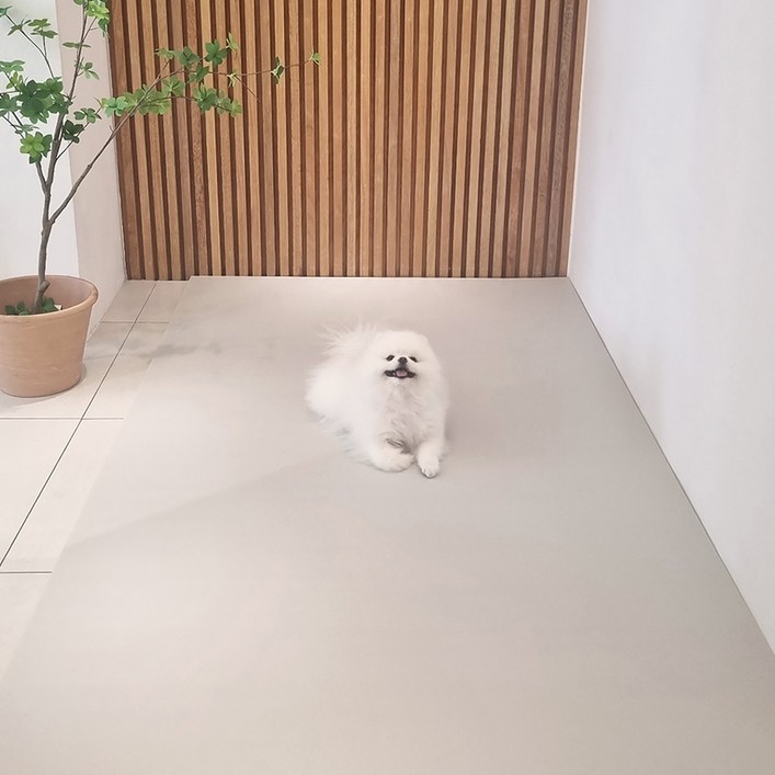 천일카페트 강아지 롤 미끄럼방지 거실 복도 매트, 그레이, 1개