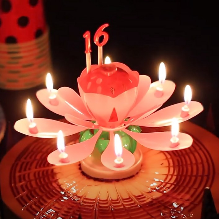 스토리빙 생일 축하 초 연꽃 멜로디 선물 파티 용품 + 숫자 토퍼 19p 세트