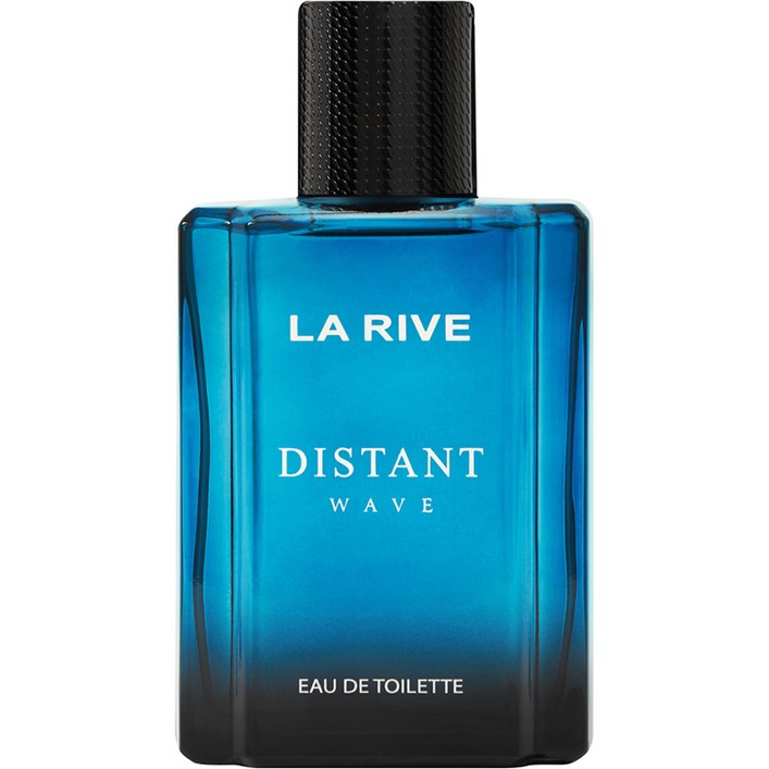 공식수입 라리브 디스턴트 웨이브 오 드 뚜왈렛 100ml, 1개, 100ml