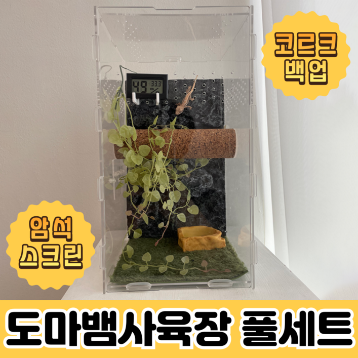 크레용샵 도마뱀 사육장 크레스티드 게코